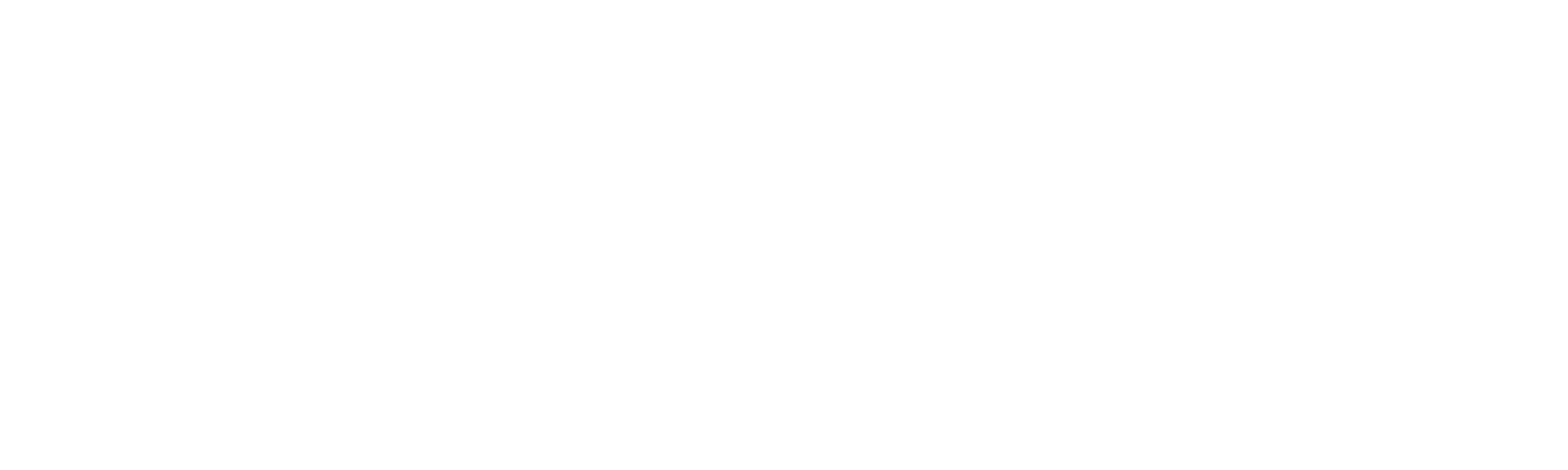 FlashPro IT Logo